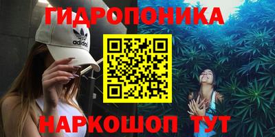 Альфа ПВП Краснознаменск