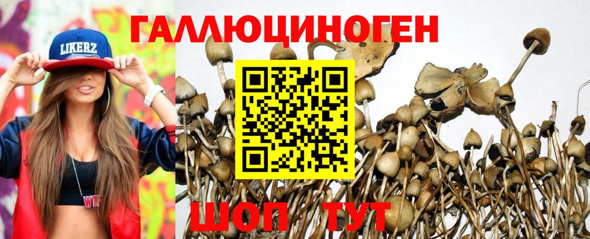 Галлюциногенные грибы мицелий Казань