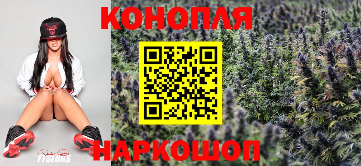 Канабис сатива Казань